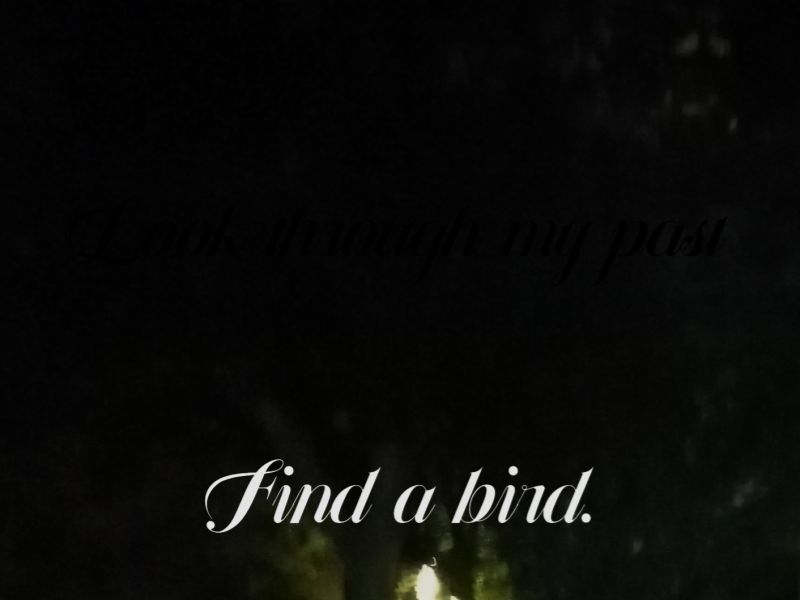 文件:Edgar Allan Poe.jpg